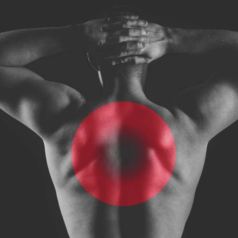 Brust Panel Backpress®