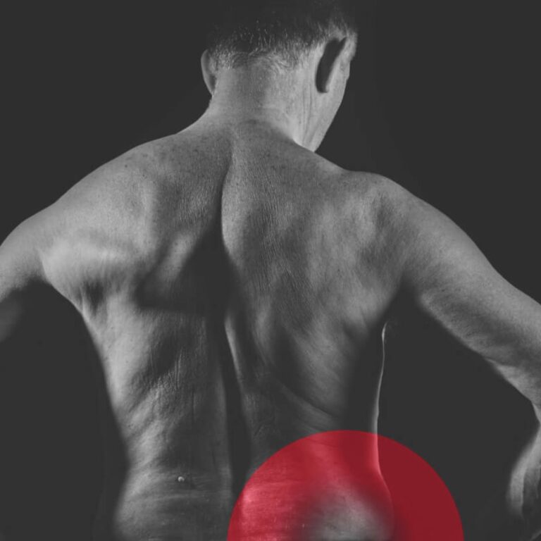 Huefte Panel Backpress®