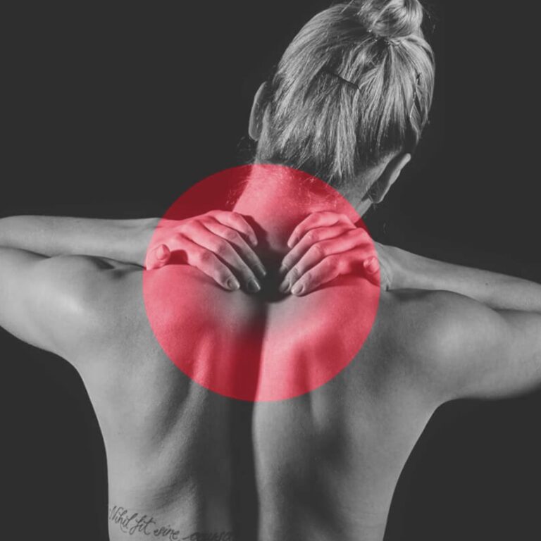 Nacken Panel Backpress®