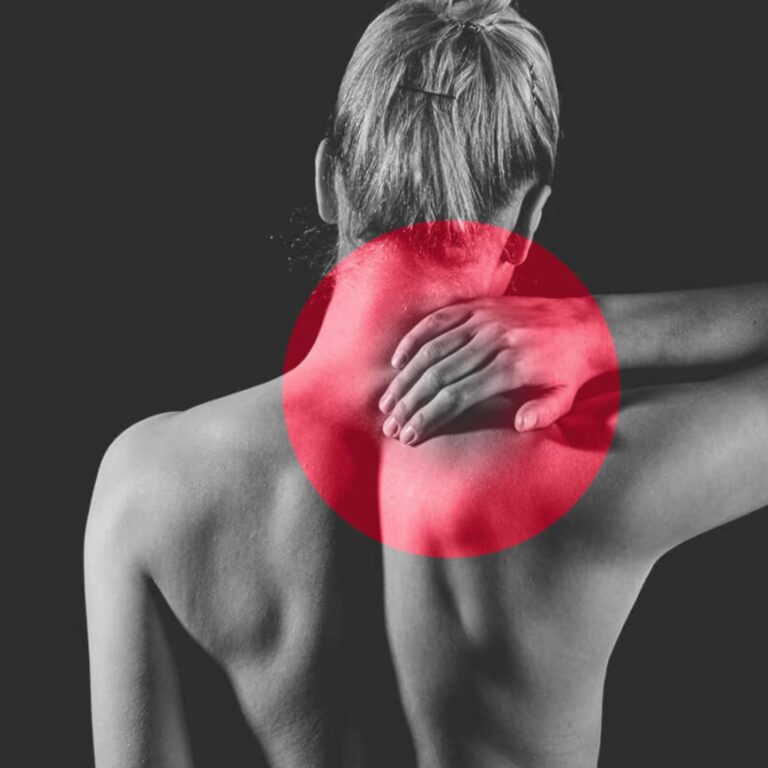 Schwindel Panel Backpress®