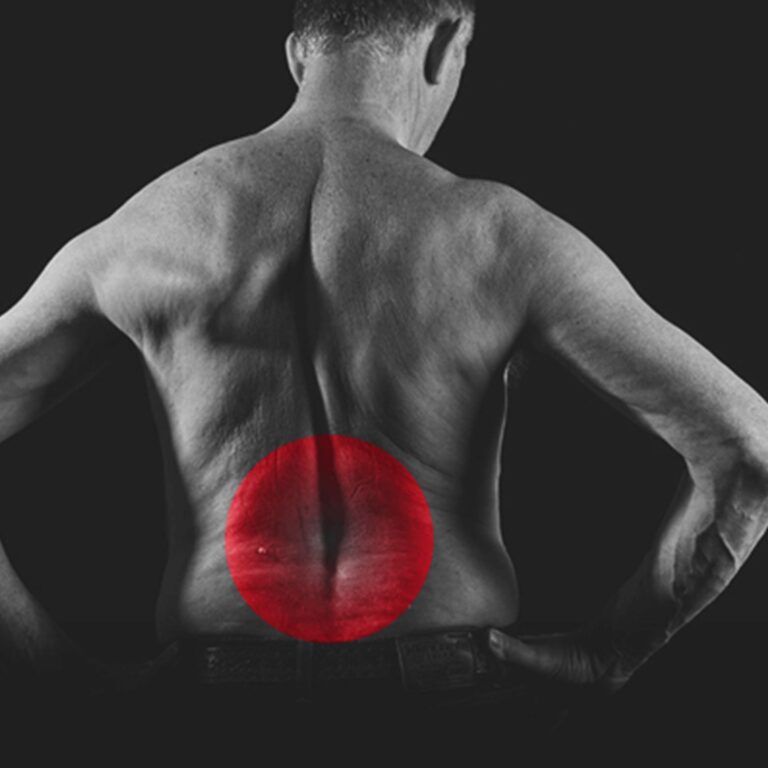 Bandscheiben Panel Backpress®